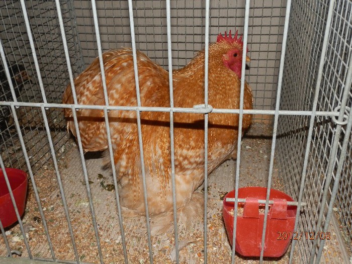 PC082721 - EXPOZITIE LEIPZIG 2012