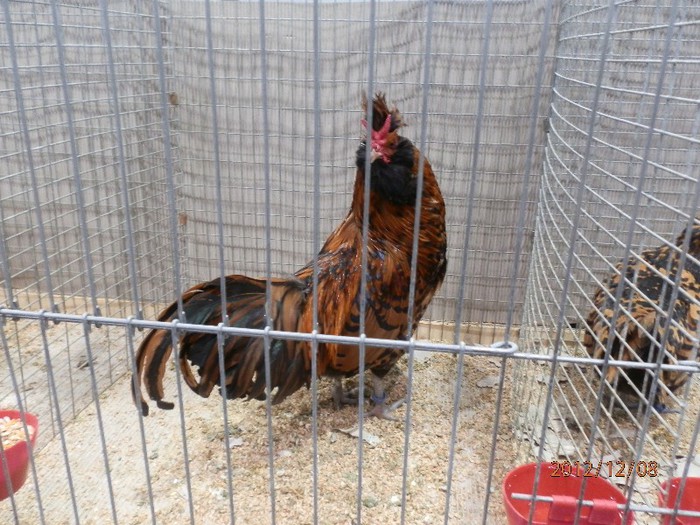 PC082728 - EXPOZITIE LEIPZIG 2012