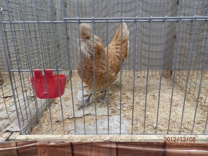 PC082729 - EXPOZITIE LEIPZIG 2012