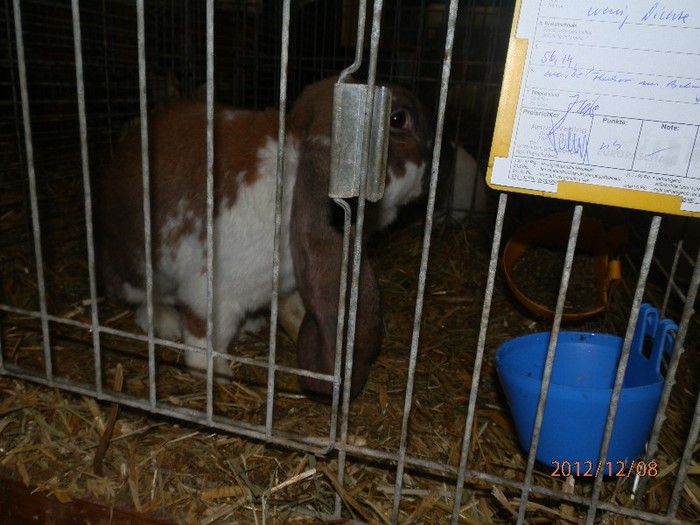 PC082834 - EXPOZITIE LEIPZIG 2012