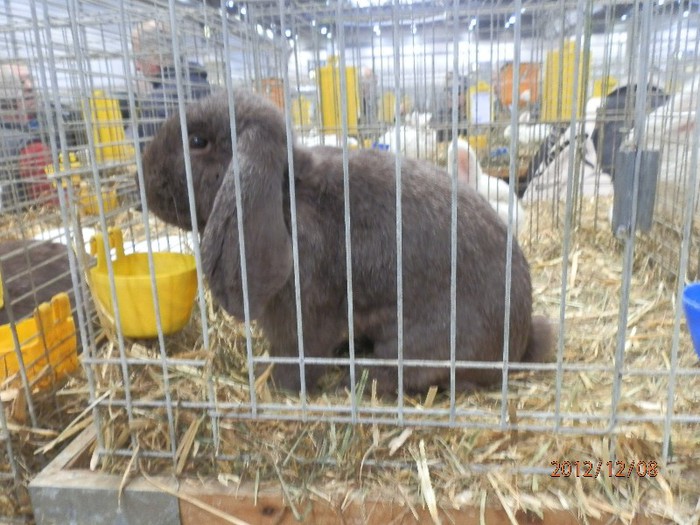 PC082835 - EXPOZITIE LEIPZIG 2012