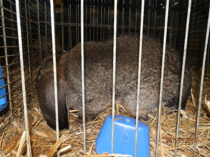 PC082839 - EXPOZITIE LEIPZIG 2012