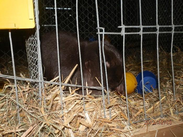 PC082841 - EXPOZITIE LEIPZIG 2012