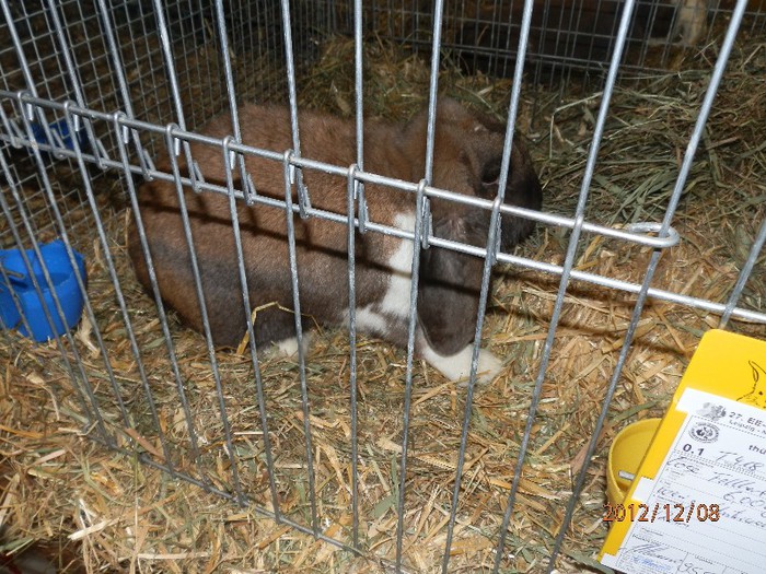 PC082844 - EXPOZITIE LEIPZIG 2012