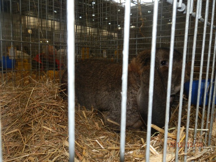 PC082845 - EXPOZITIE LEIPZIG 2012