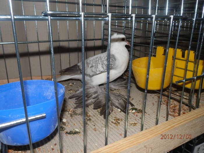 PC082861 - EXPOZITIE LEIPZIG 2012