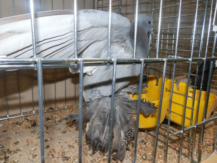 PC082862 - EXPOZITIE LEIPZIG 2012