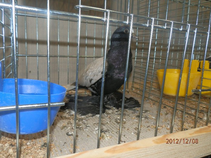 PC082864 - EXPOZITIE LEIPZIG 2012