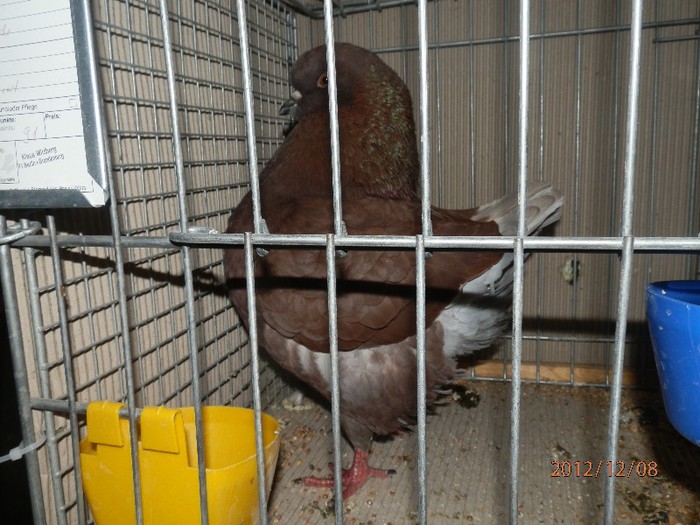 PC082881 - EXPOZITIE LEIPZIG 2012