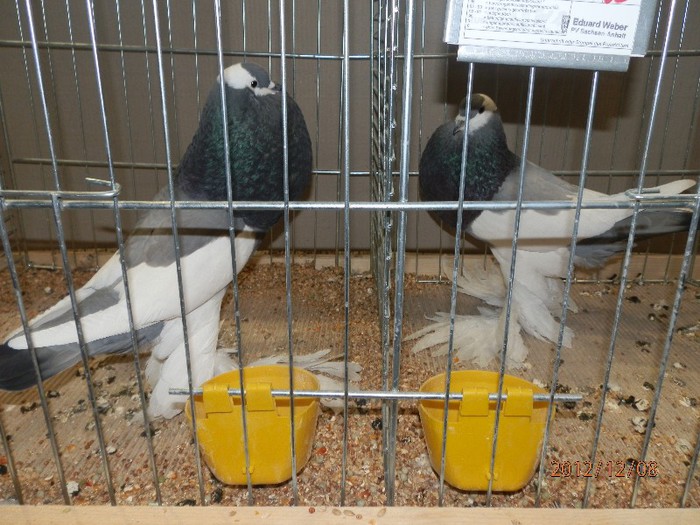 PC082872 - EXPOZITIE LEIPZIG 2012