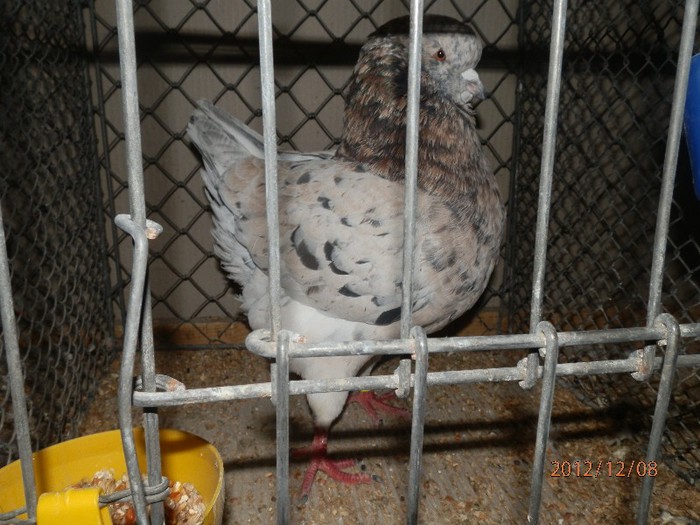 PC082875 - EXPOZITIE LEIPZIG 2012