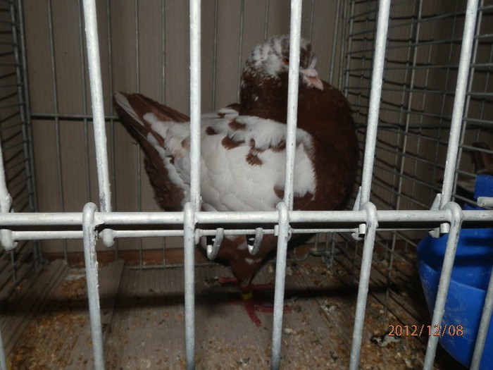 PC082878 - EXPOZITIE LEIPZIG 2012