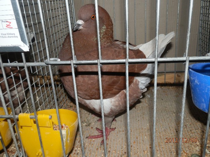 PC082883