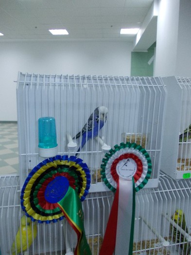 041 - 5 EXPO-FOR-2012