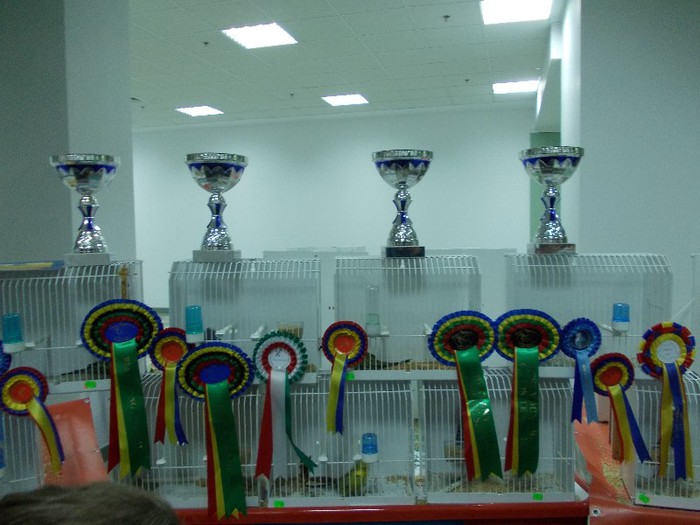 Trofeele+pasarile castigatoare - 5 EXPO-FOR-2012