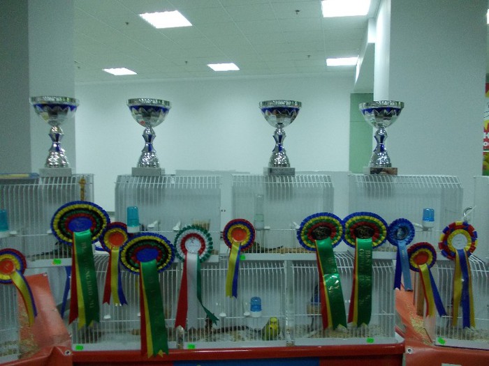 Trofeele+pasarile castigatoare