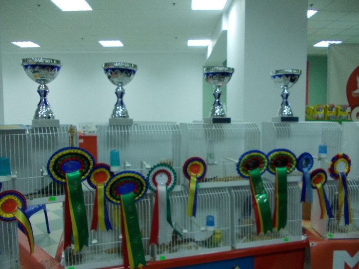 Trofeele+pasarile castigatoare - 5 EXPO-FOR-2012