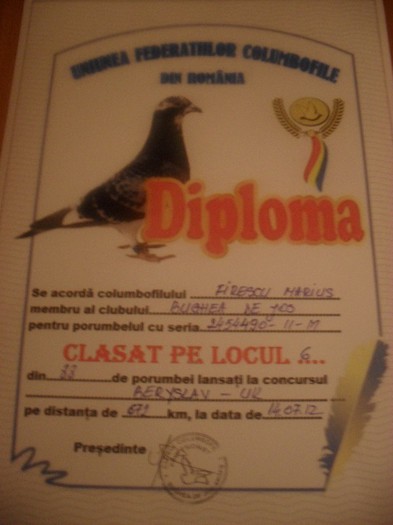 SDC13428 - DIPLOME sezon 2012