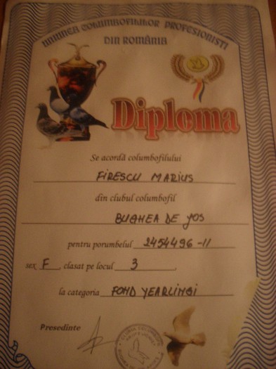 SDC13438 - DIPLOME sezon 2012