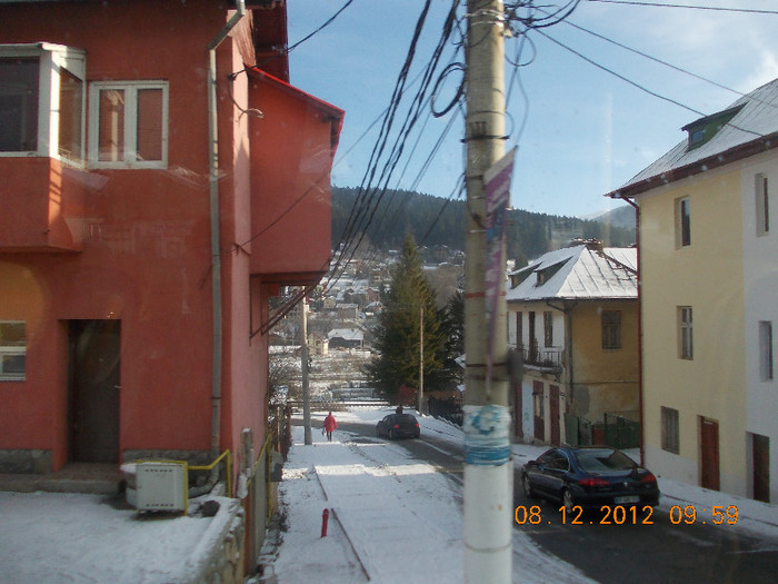 DSCN5239_732 - Excursie la Azuga