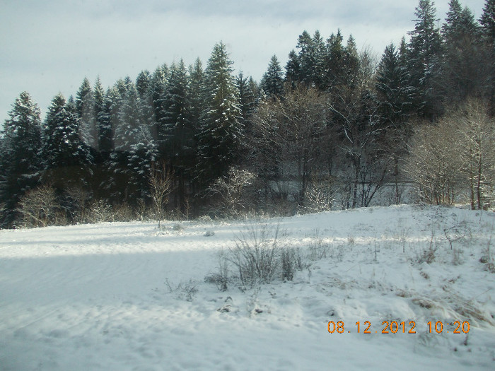 DSCN5283_776 - Excursie la Azuga