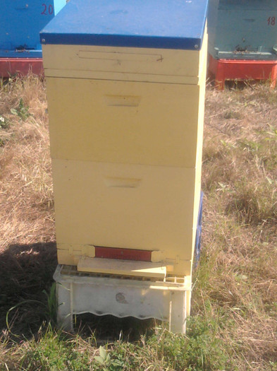 apicultura2012 - Stupi Mei