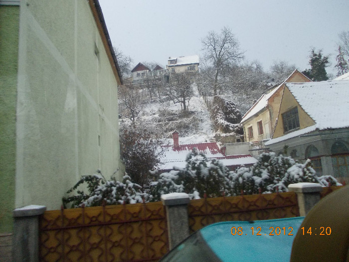 DSCN5353_840 - Excursie la Azuga