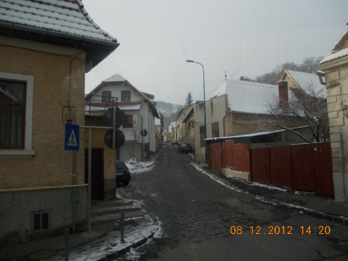 DSCN5354_841 - Excursie la Azuga