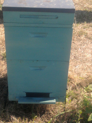 apicultura 2012 - Stupi Mei