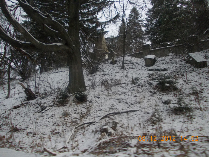 DSCN5393_880 - Excursie la Azuga