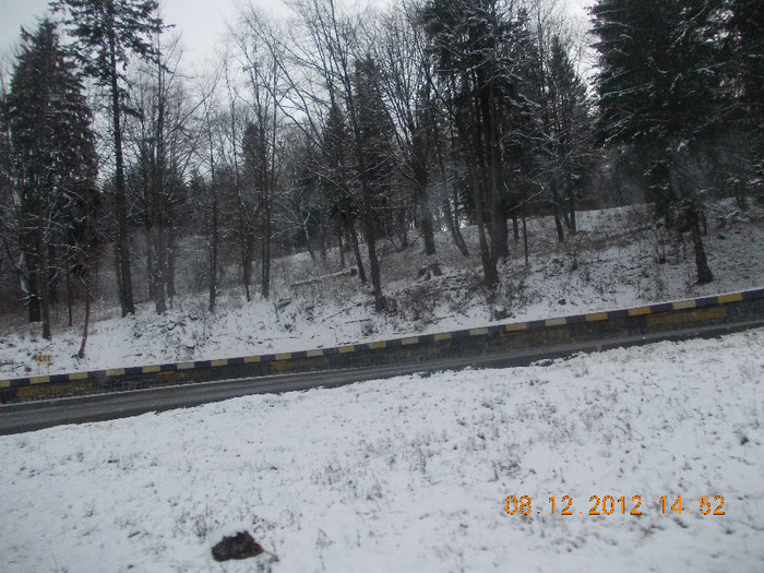 DSCN5394_881 - Excursie la Azuga