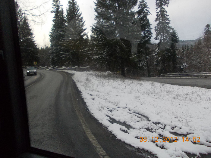 DSCN5396_883 - Excursie la Azuga