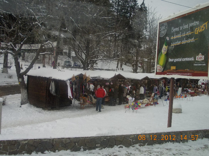 DSCN5402_889 - Excursie la Azuga