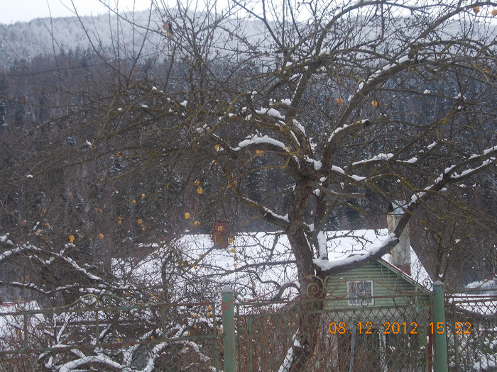 DSCN5428_915 - Excursie la Azuga