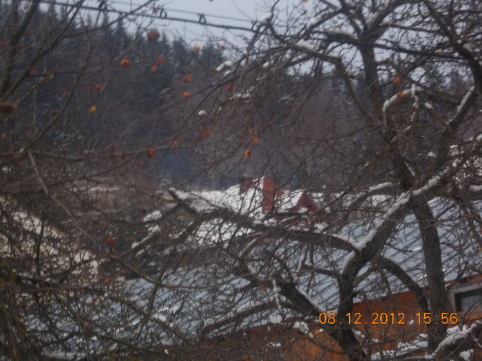 DSCN5431_918 - Excursie la Azuga