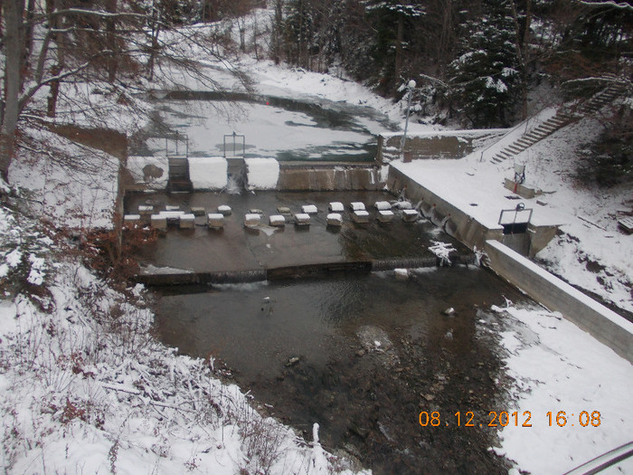 DSCN5440_927 - Excursie la Azuga