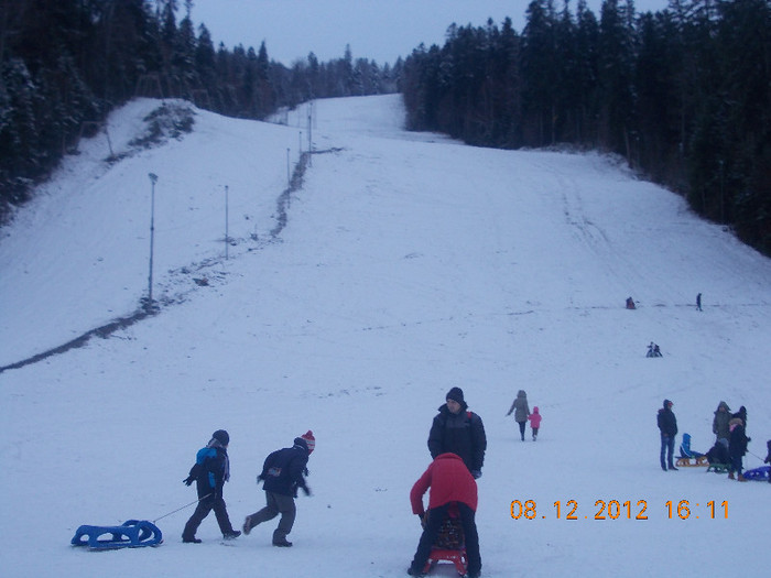 DSCN5444_931 - Excursie la Azuga