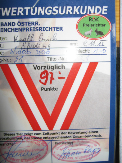 austellung-nov 079 - 7-anunt important