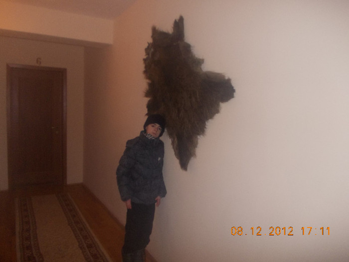 DSCN5478_965 - Excursie la Azuga