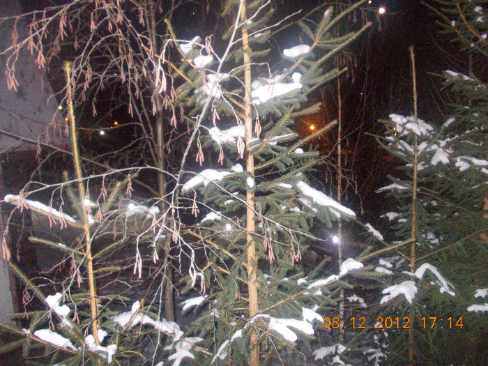 DSCN5481_968 - Excursie la Azuga