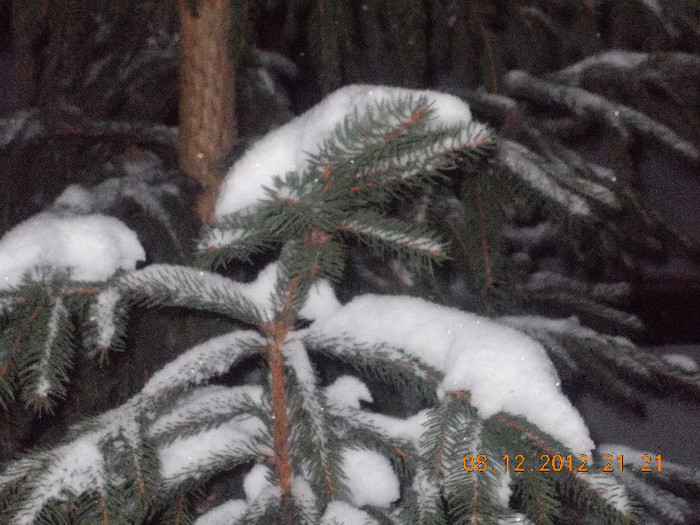 DSCN5506_993 - Excursie la Azuga