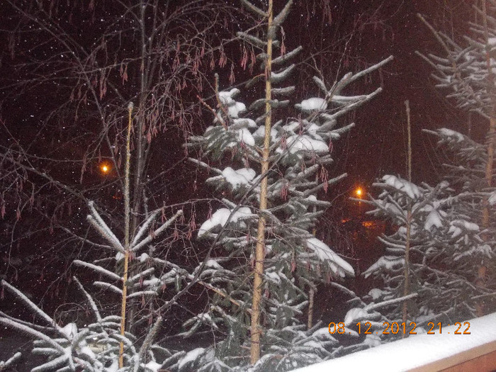 DSCN5510_997 - Excursie la Azuga