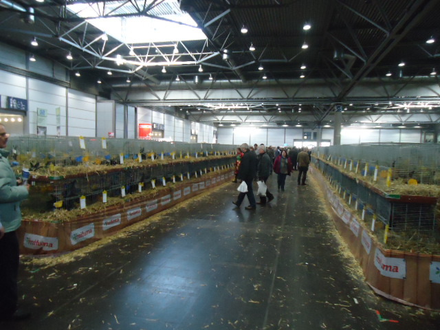 DSC02958 - Expo Germania Europeana EUROPASCHAU LEIPZIG 2012