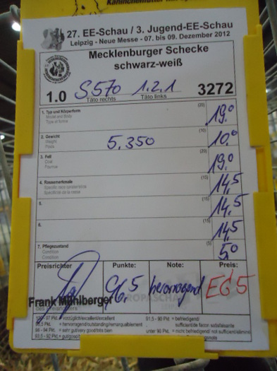 DSC02972 - Expo Germania Europeana EUROPASCHAU LEIPZIG 2012