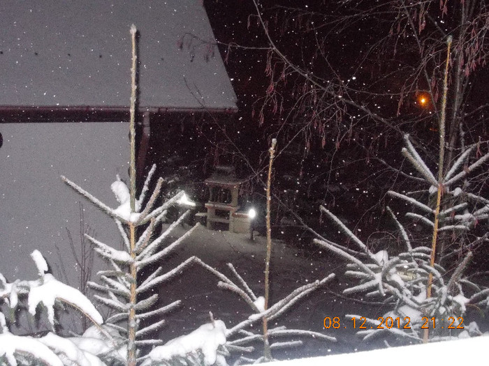 DSCN5511_998 - Excursie la Azuga