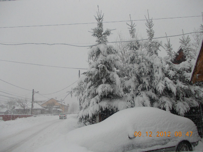 DSCN5528_1013 - Excursie la Azuga