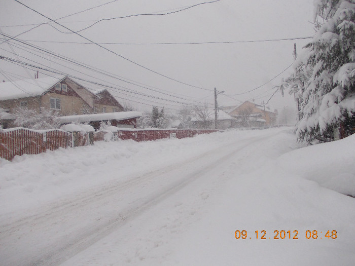 DSCN5532_1017 - Excursie la Azuga