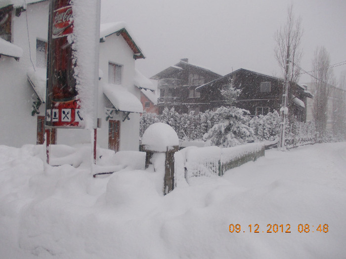 DSCN5533_1018 - Excursie la Azuga