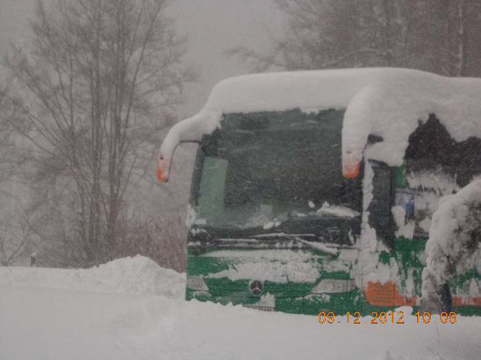 DSCN5549_1034 - Excursie la Azuga