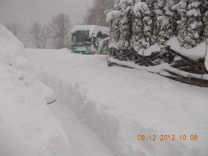 DSCN5550_1035 - Excursie la Azuga